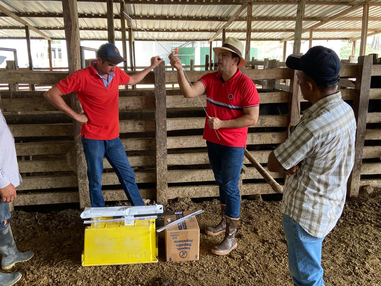 Equipo técnico SERTEG realizando trabajo de campo