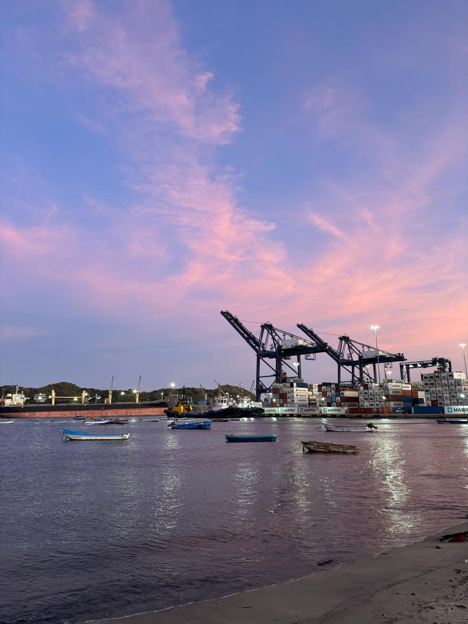 Operación portuaria para comercio internacional